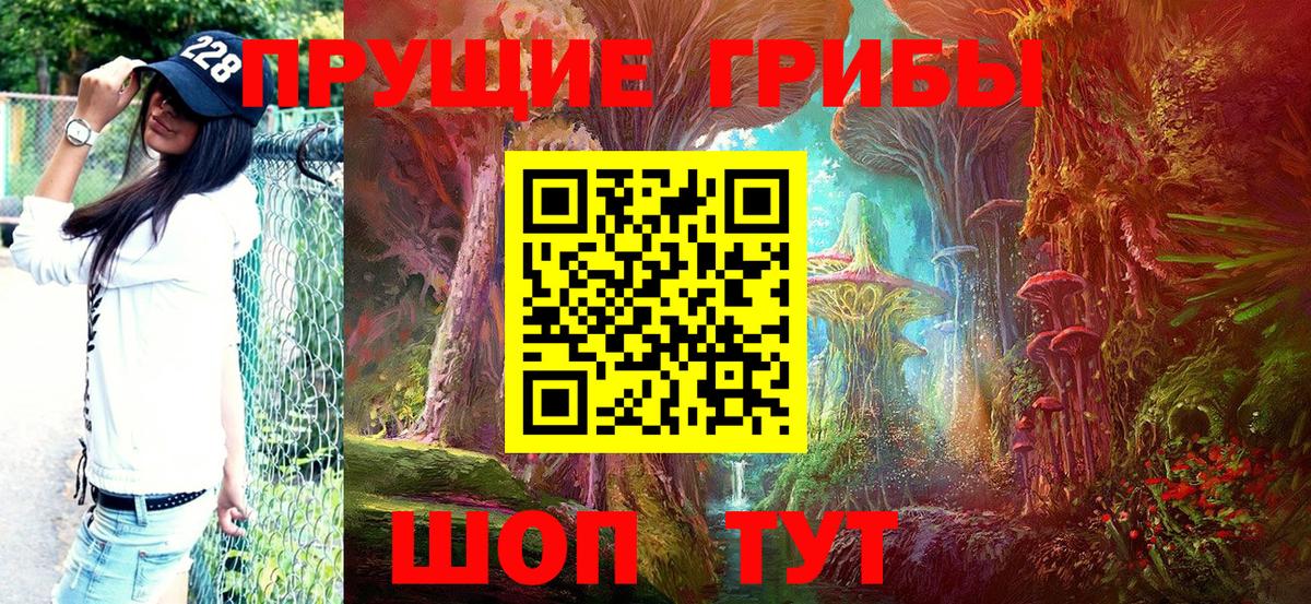 Острогожск  Галлюциногенные грибы GOLDEN TEACHER  Псилоцибиновые грибы мицелий  Вход с VPN 